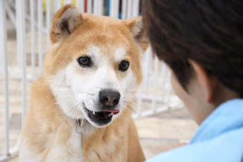 レガートプラス宣言