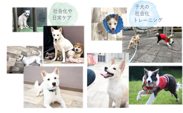 トレーニングシェルターとは